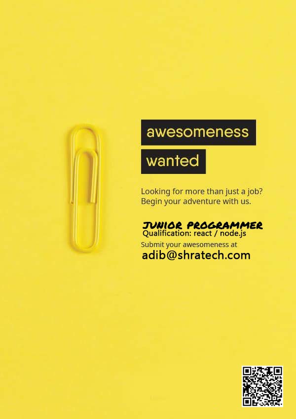 Junior Programmer