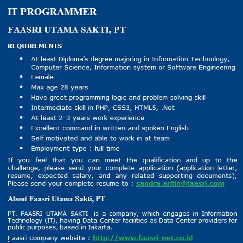 IT Programmer