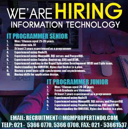 IT Programmer Senior, IT Programmer Junior