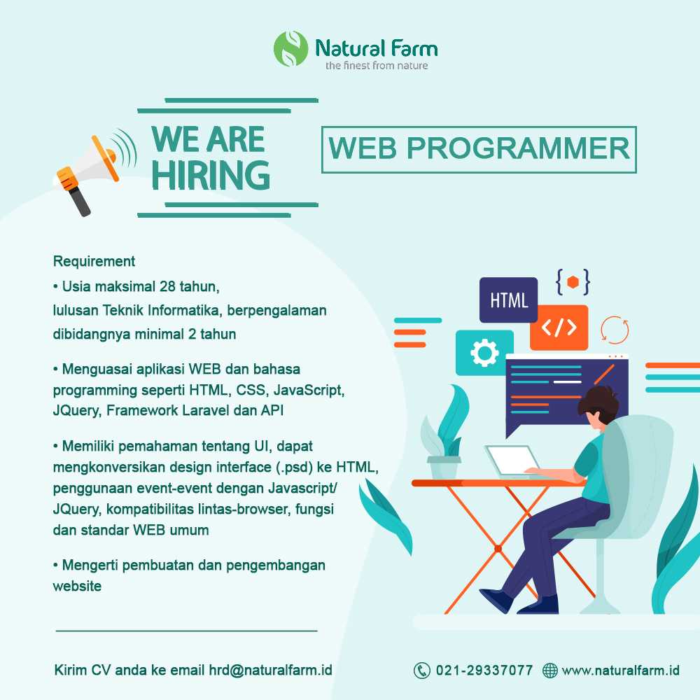 Web Programmer