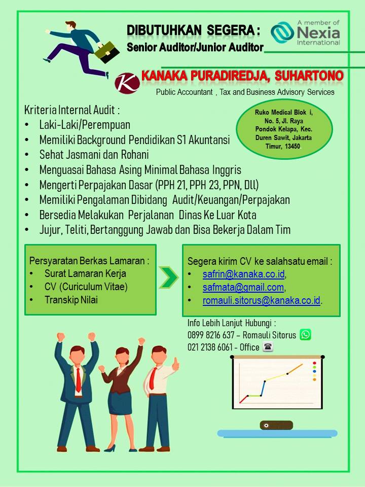 Senior Auditor / Junior Auditor