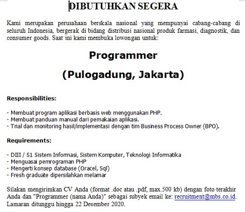 Programmer