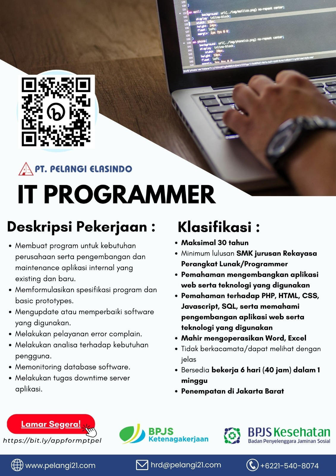 IT Programmer