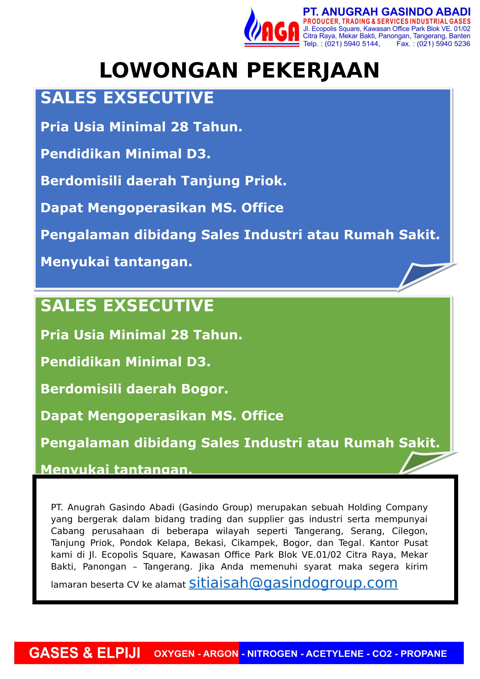 Sales Executive