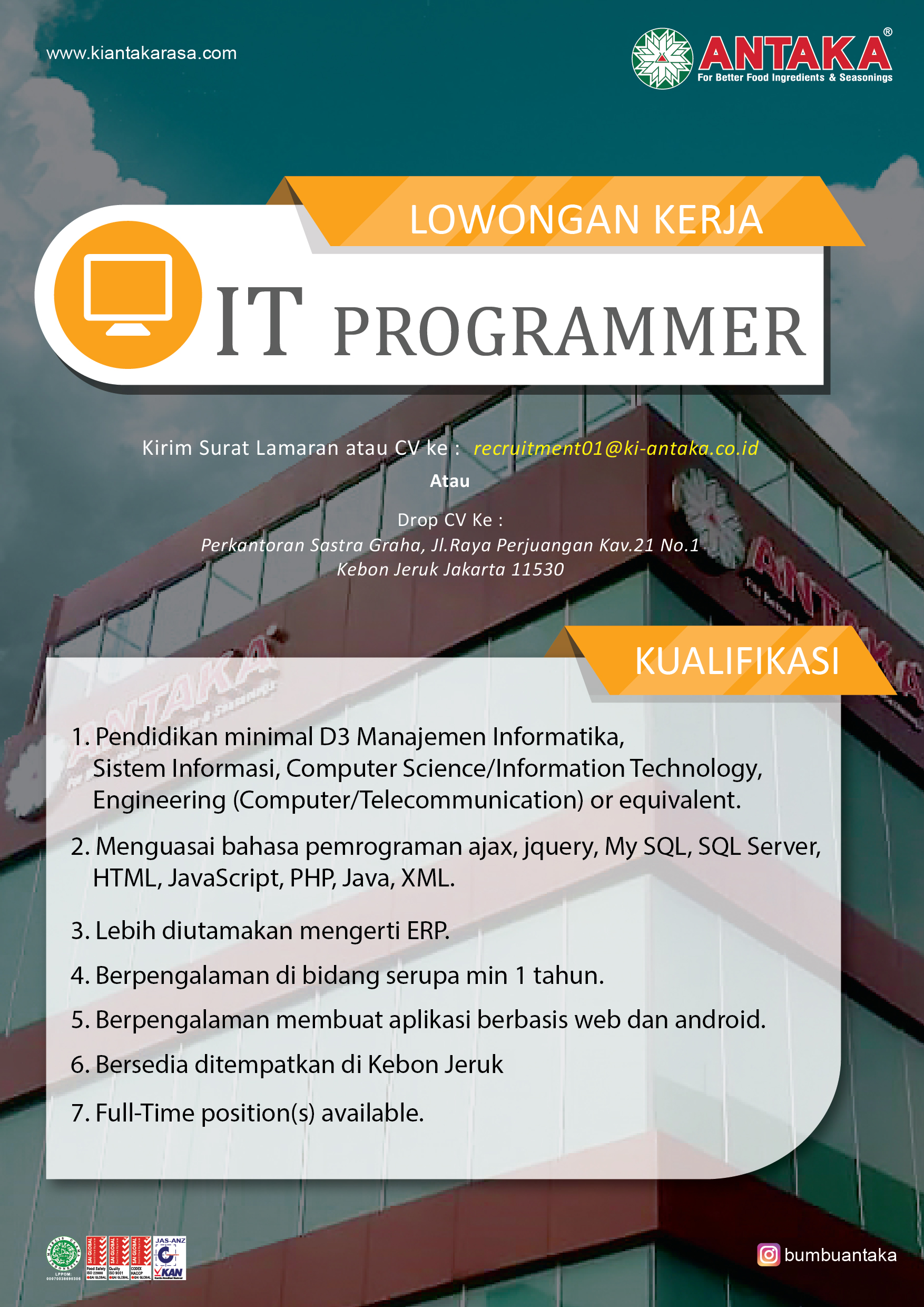 IT Programmer 