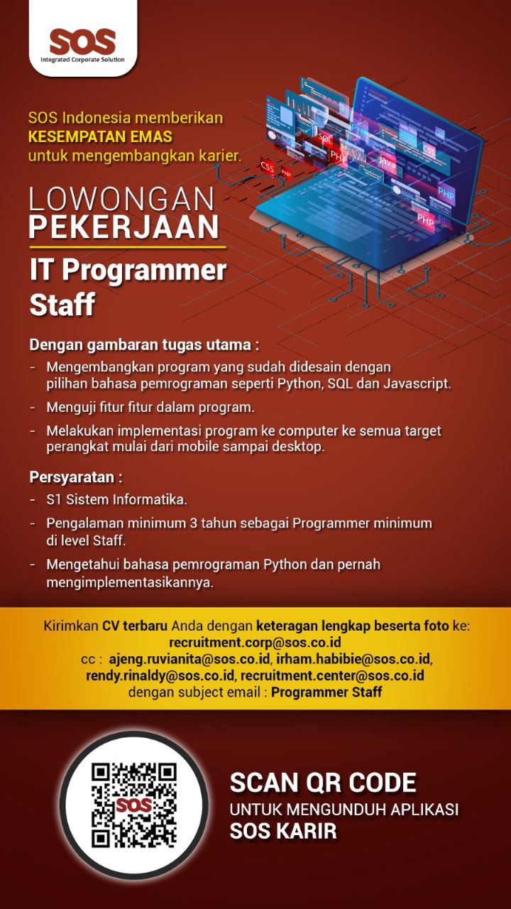 IT Programmer